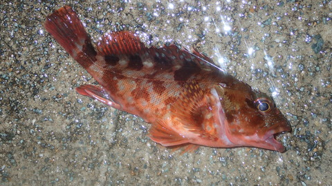P7053160