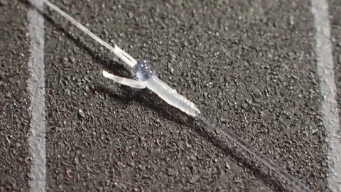 P3187807