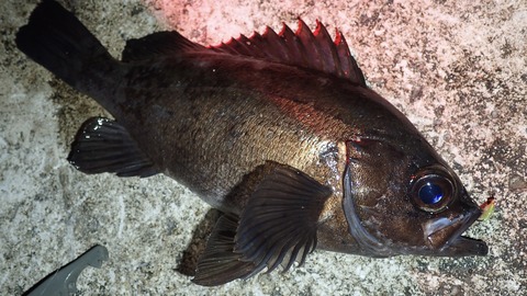 P5062871