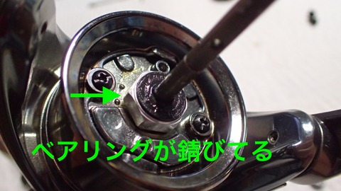 P2018807