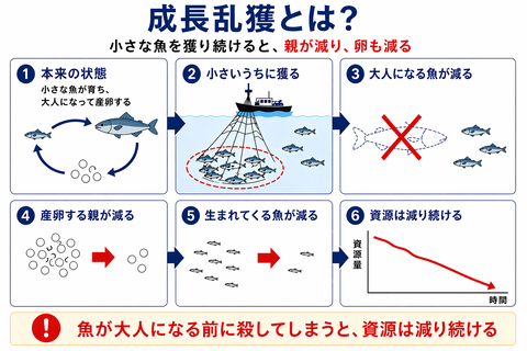 DA557076-9C55-49F9-B4AB-EA53162BB25D