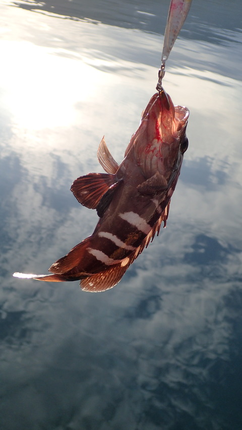 P7303257