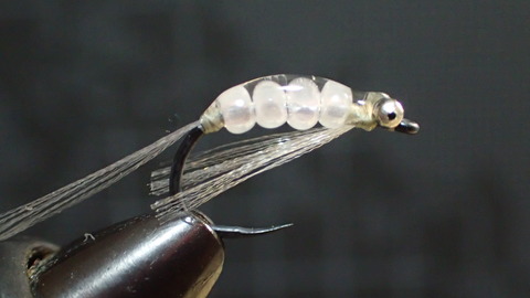 P6288065