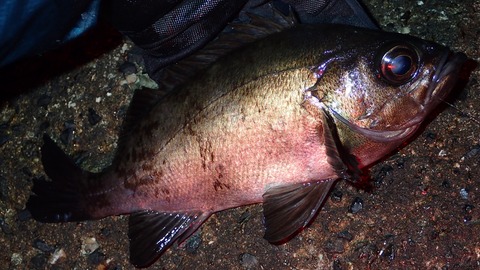 E0E8B212-593C-406C-99EA-6F1109C7E55B