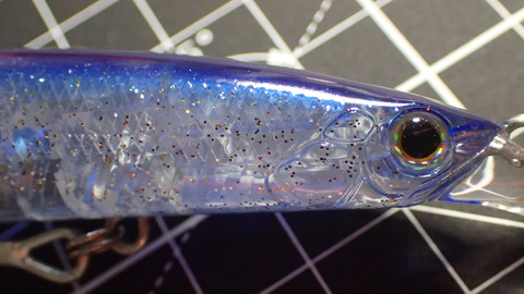 P9253446