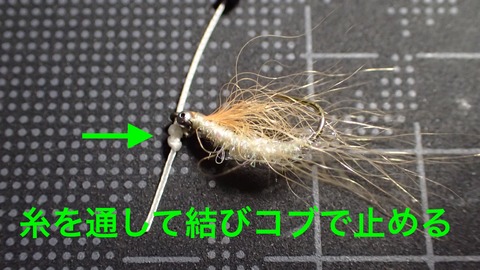 PB308460
