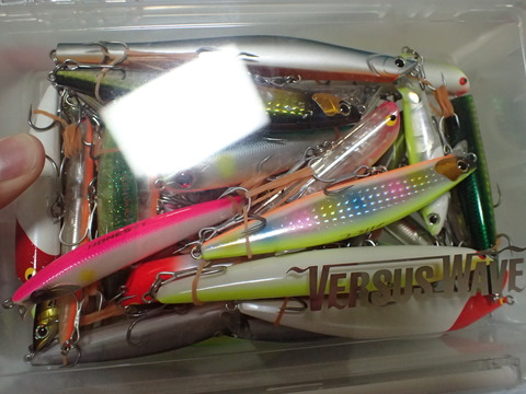 96668B31-D738-45B5-BB29-1A19FEC824DD_1_201_a