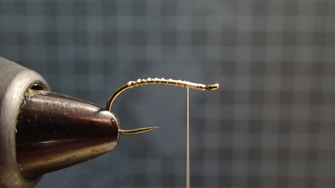 P7068100