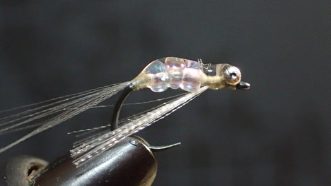 P6288064