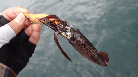 2B03639D-8CE4-40FC-B3B5-5EC5F7CC2466