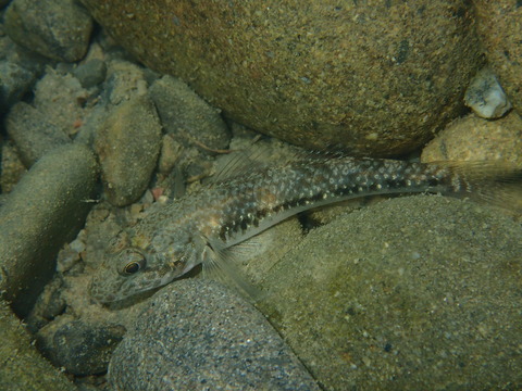 P8280967