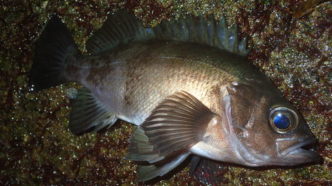 P3030588