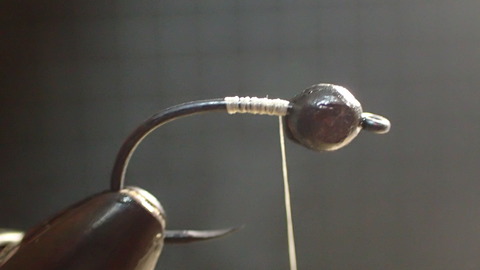 P2087689