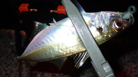 P7301342