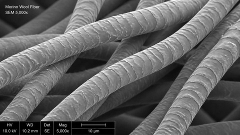 メリノウールの繊維質感を表現した電子顕微鏡イメージ。繊維の細かいテクスチャと構造