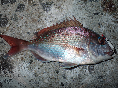 PB082171