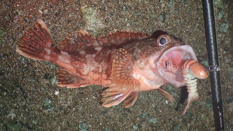 P6253152
