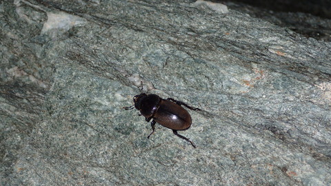 P8123298
