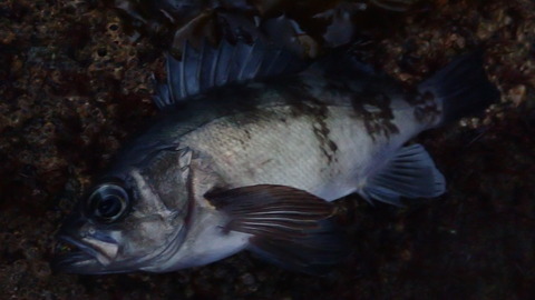 P3030593