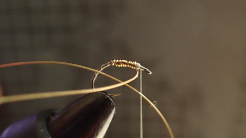 593146A3-5C8E-4796-9B08-0900F89FAFDF