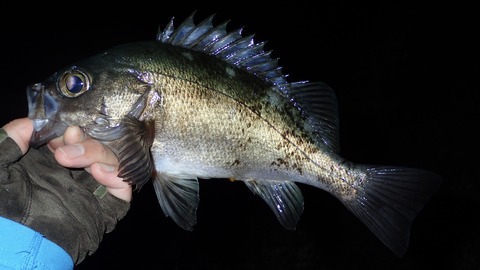 P6083047