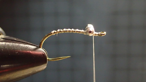 P7068102