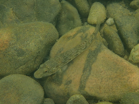 P8280971