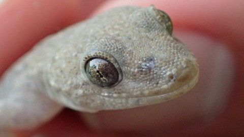 P5132883