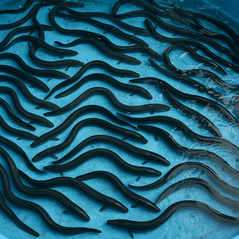 55ACB2A3-3DF5-432E-B297-B2A2C0C8BDAF