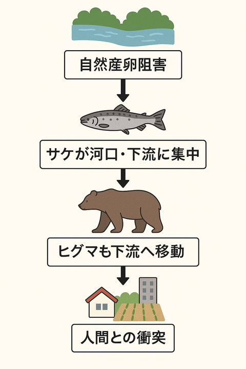 0E96DEB4-FCC5-474C-8494-A6A7D9C813D4