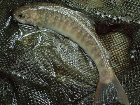 P6123077