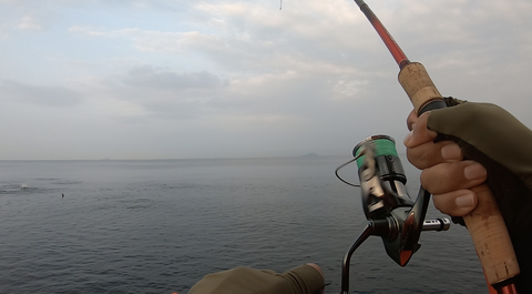 スクリーンショット 2025-10-16 16.13.19