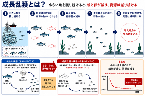 A010E18D-9FB0-4F0C-8999-BC768521CA0E