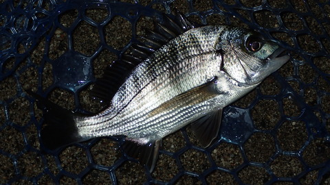 P9063402