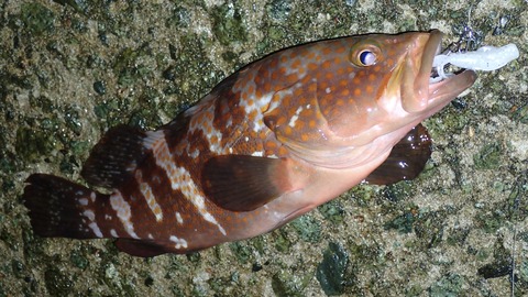 P7091280