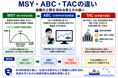 DD3AD590-99A7-464F-B4B1-D603608ECE05