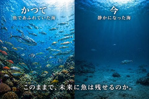 158EBDB6-6833-48FB-BA5A-33F0091973C5