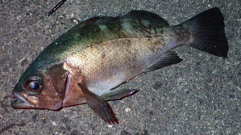 P5212963