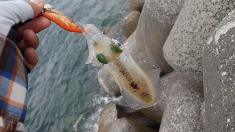 82E41F77-2FF4-49C3-BA45-9DB537D6BFE8