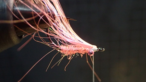 P2130515