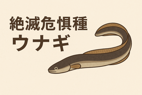 2AB57003-AD53-4906-90A5-D320A9A1ECFA