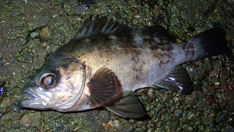 321C20DF-CBC5-48C6-AD78-C3FA6C929759