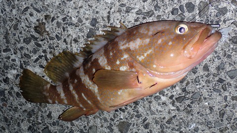 P7151299
