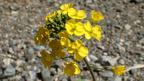 P3157788