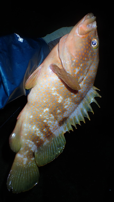 P6253154