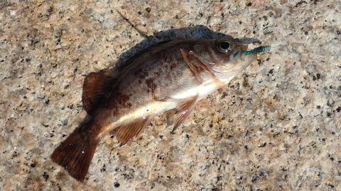 P2087674