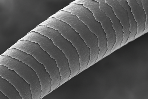 70EED61E-EC00-4DAE-98A0-2E316AA1BF47