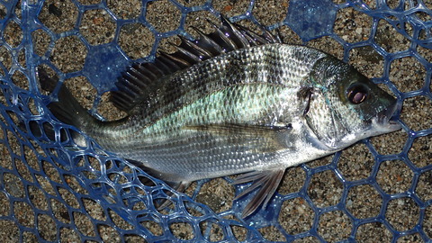 P9063401