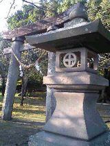 17ae77a5.JPG