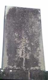 7647ebf8.jpg